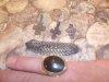 DSCN0708.JPG