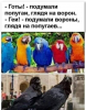 Клуб Ниссан Террано | Форум Terrano-Club.Ru | Фото: 1.png