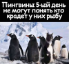 Клуб Ниссан Террано | Форум Terrano-Club.Ru | Фото: Пингвин.png
