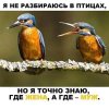 Клуб Ниссан Террано | Форум Terrano-Club.Ru | Фото: Зимородок.jpg