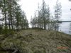 Клуб Ниссан Террано | Форум Terrano-Club.Ru | Фото: P1020081.JPG