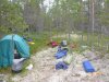 Клуб Ниссан Террано | Форум Terrano-Club.Ru | Фото: P1020094.JPG