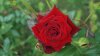DSC01391.JPG