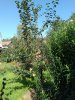 Клуб Ниссан Террано | Форум Terrano-Club.Ru | Фото: IMG_20190831_133111.jpg