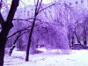 Клуб Ниссан Террано | Форум Terrano-Club.Ru | Фото: PH_46.jpg