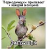 Клуб Ниссан Террано | Форум Terrano-Club.Ru | Фото: IMG_20191024_085412_632.jpg