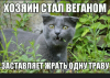 Клуб Ниссан Террано | Форум Terrano-Club.Ru | Фото: 1.png