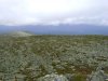 DSC02073.JPG