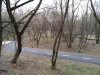 Клуб Ниссан Террано | Форум Terrano-Club.Ru | Фото: IMG_20191222_124049.jpg
