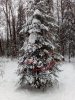 Клуб Ниссан Террано | Форум Terrano-Club.Ru | Фото: IMG_20191231_122805.jpg