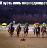 Клуб Ниссан Террано | Форум Terrano-Club.Ru | Фото: 1.png