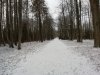 Клуб Ниссан Террано | Форум Terrano-Club.Ru | Фото: IMG_20200105_114658.jpg