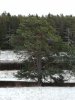 Клуб Ниссан Террано | Форум Terrano-Club.Ru | Фото: IMG_20200105_123319.jpg