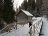 Клуб Ниссан Террано | Форум Terrano-Club.Ru | Фото: IMG_20200105_123549.jpg
