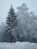 IMG_20200106_091540.jpg