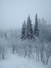 IMG_20200106_091616.jpg