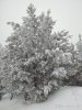 IMG_20200106_111658.jpg