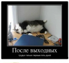 Клуб Ниссан Террано | Форум Terrano-Club.Ru | Фото: Понедельник.png