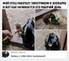 Клуб Ниссан Террано | Форум Terrano-Club.Ru | Фото: 2.png