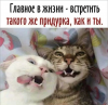 Клуб Ниссан Террано | Форум Terrano-Club.Ru | Фото: Друзья.png