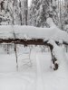 Клуб Ниссан Террано | Форум Terrano-Club.Ru | Фото: IMG_20200126_125156.jpg