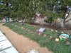 IMG_20200125_130804.jpg