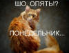 Клуб Ниссан Террано | Форум Terrano-Club.Ru | Фото: Понедельник.png