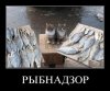 Клуб Ниссан Террано | Форум Terrano-Club.Ru | Фото: smeshnie_kartinki_138911220471.jpg