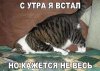 Клуб Ниссан Террано | Форум Terrano-Club.Ru | Фото: Не проснулся.jpg