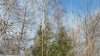 Клуб Ниссан Террано | Форум Terrano-Club.Ru | Фото: DSCF9022.JPG