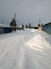 IMG_20200326_065431.jpg