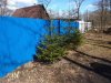 Клуб Ниссан Террано | Форум Terrano-Club.Ru | Фото: IMG_20200411_114136.jpg