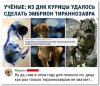 Клуб Ниссан Террано | Форум Terrano-Club.Ru | Фото: 14212249.jpg