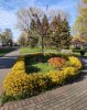 Клуб Ниссан Террано | Форум Terrano-Club.Ru | Фото: 22.jpg