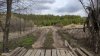 Клуб Ниссан Террано | Форум Terrano-Club.Ru | Фото: IMG_20200420_111626.jpg