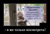 Клуб Ниссан Террано | Форум Terrano-Club.Ru | Фото: 1589486431_11.jpg