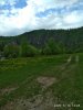 Клуб Ниссан Террано | Форум Terrano-Club.Ru | Фото: IMG_20200516_132837.jpg