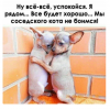 Клуб Ниссан Террано | Форум Terrano-Club.Ru | Фото: 2.png