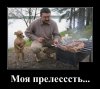 Клуб Ниссан Террано | Форум Terrano-Club.Ru | Фото: 1590613193_08.jpg