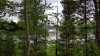Клуб Ниссан Террано | Форум Terrano-Club.Ru | Фото: 049F36D7-0603-46E9-B72C-42DABE09B35F.jpeg