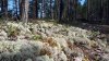 20200610_093615 (Копировать).jpg
