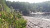 20200610_095701 (Копировать).jpg