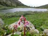 Клуб Ниссан Террано | Форум Terrano-Club.Ru | Фото: 20200629_155726.jpg