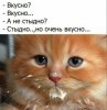 Клуб Ниссан Террано | Форум Terrano-Club.Ru | Фото: IMG_20200808_090907.jpg