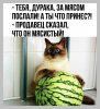 Клуб Ниссан Террано | Форум Terrano-Club.Ru | Фото: go6tv5RbFRo.jpg