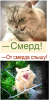 Клуб Ниссан Террано | Форум Terrano-Club.Ru | Фото: 5.png
