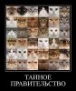 Клуб Ниссан Террано | Форум Terrano-Club.Ru | Фото: Правительство.jpg