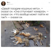 Клуб Ниссан Террано | Форум Terrano-Club.Ru | Фото: 5.png