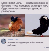 Клуб Ниссан Террано | Форум Terrano-Club.Ru | Фото: 5.png