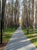 Клуб Ниссан Террано | Форум Terrano-Club.Ru | Фото: IMG_20200907_095815.jpg